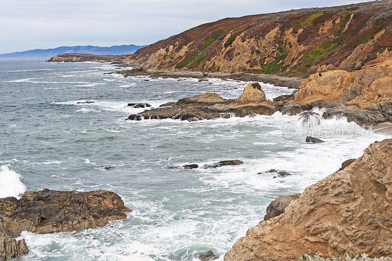 Bodega Head的太平洋海岸线景色